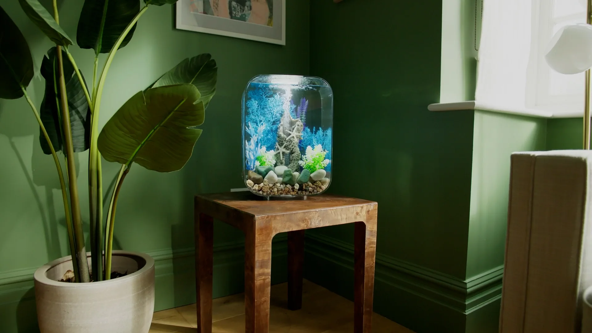 Elevate Your Home with Nature